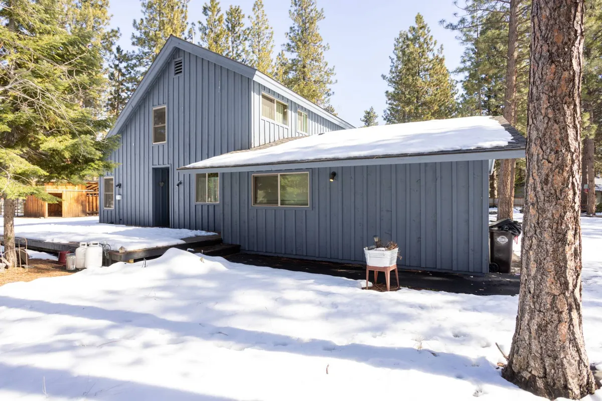 An inviting exterior shot of a blue wooden house set among tall pine trees, with a snow-blanketed yard extending from the home. The backdrop of nature and open space underscores both relaxation and outdoor activity, ideal for guests and their pets.