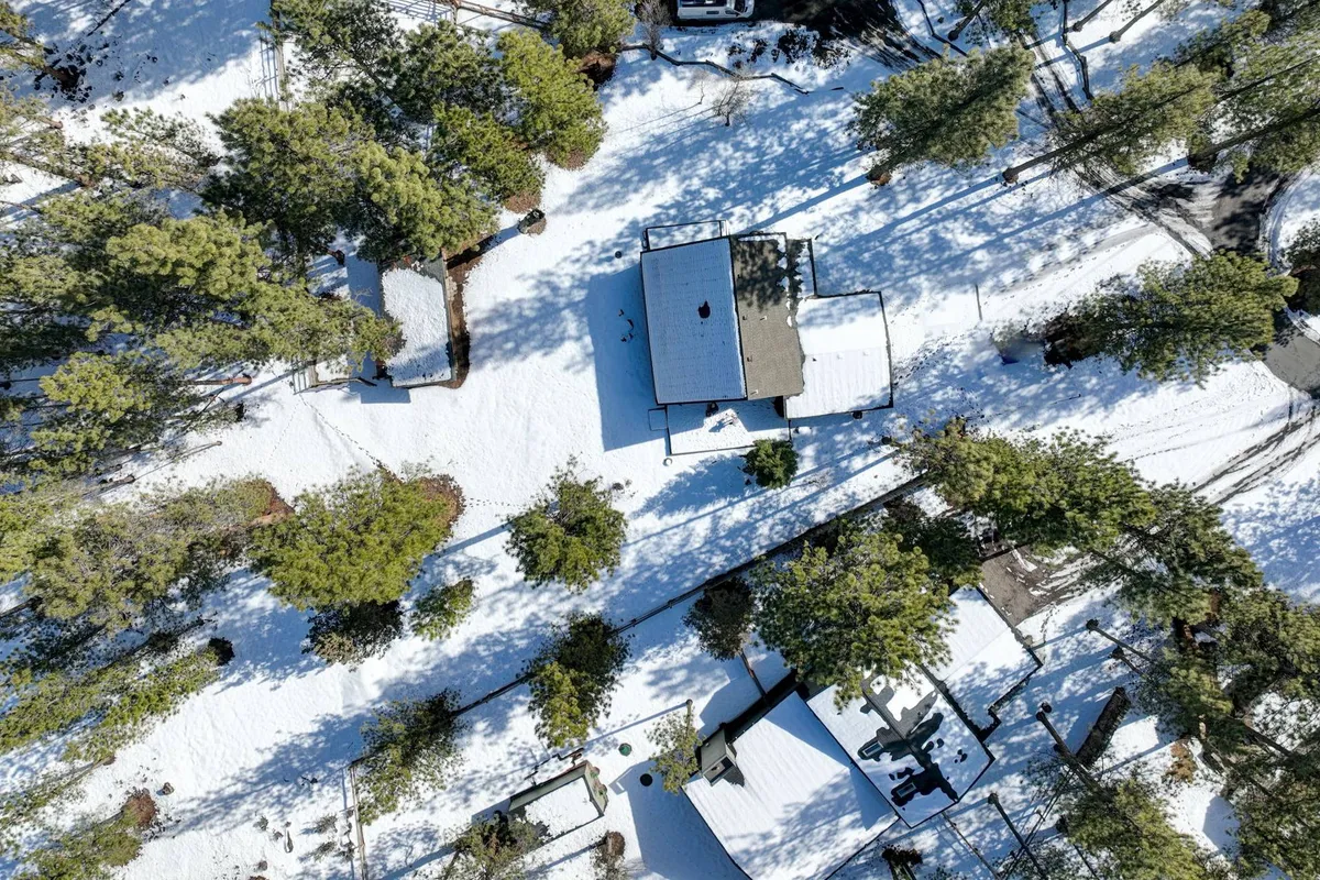 A serene winter exterior showing snow-covered rooftops nestled among tall pine trees. Soft shadows stretch across the ground, creating a tranquil woodland setting. The image evokes peace and quiet, with the forest enveloping the property and inviting guests to enjoy the outdoors.