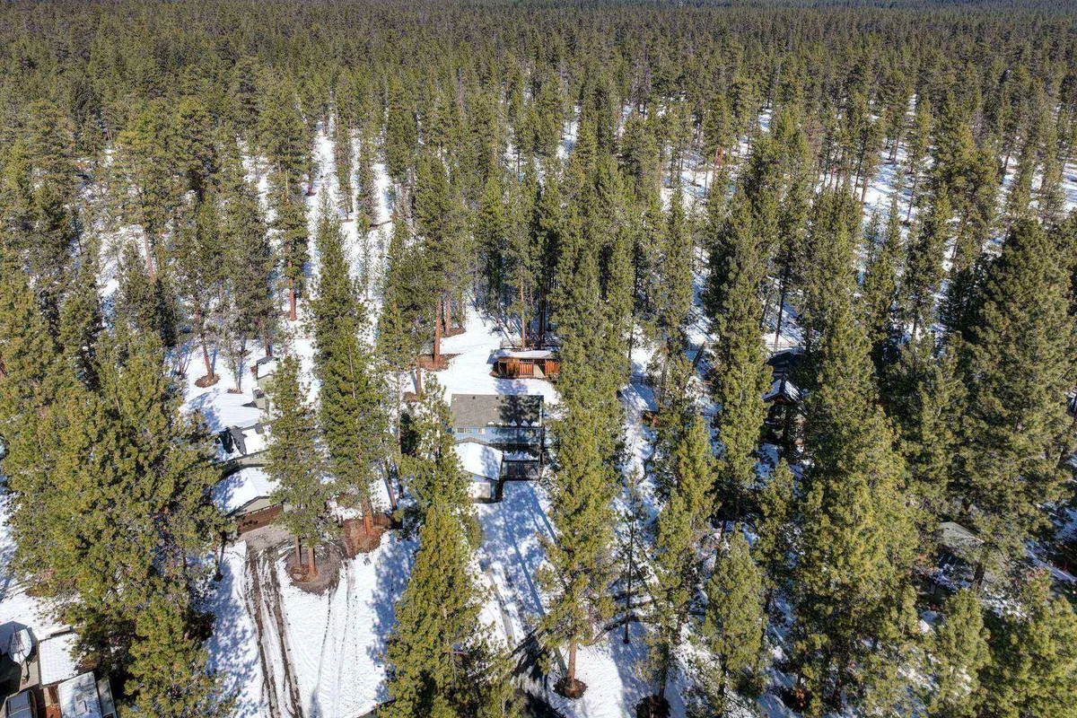 This image showcases cabins scattered throughout a forest blanketed in snow, with tall, dense pine trees creating an immersive natural backdrop. The snowy ground and serene forest setting evoke a sense of peaceful seclusion and direct access to the wilderness.